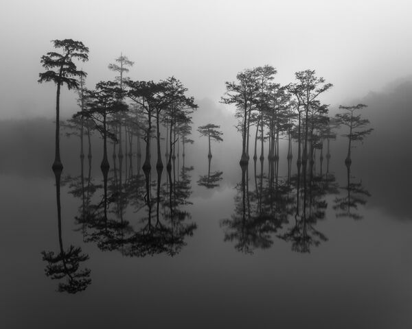 Bức ảnh Morning Light của nhiếp ảnh gia Mỹ Jim Guerard, giải nhất hạng mục Special Awards. Black and White cuộc thi The 10th International Landscape Photographer of the Year - Sputnik Việt Nam