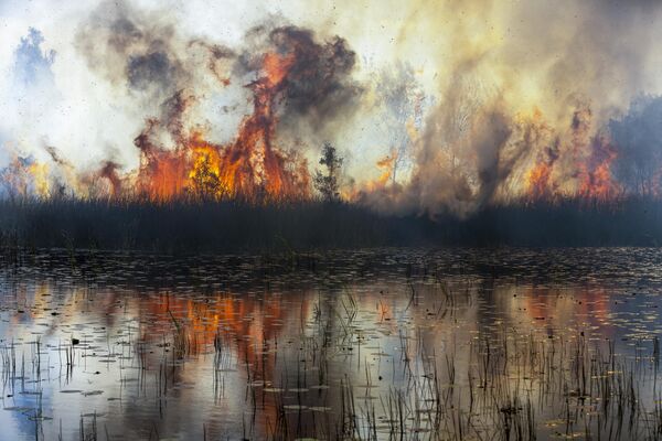 Bức ảnh Flames#5 của nhiếp ảnh gia người Úc Peter Meyer, giải 2 hạng mục Photograph cuộc thi The 10th International Landscape Photographer of the Year - Sputnik Việt Nam