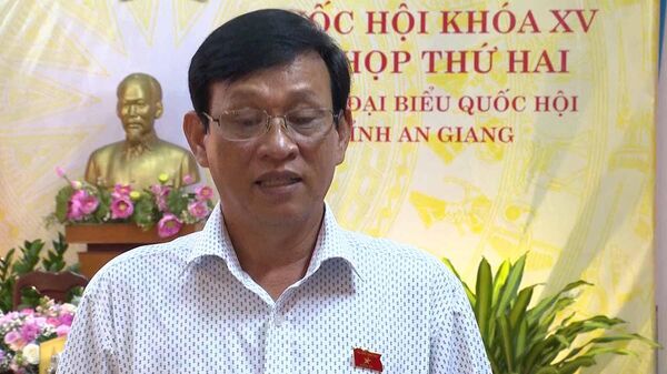 Ông Nguyễn Văn Thạnh khi còn làm đại biểu Quốc hội tỉnh An Giang. - Sputnik Việt Nam