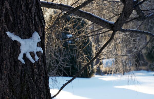 Con mèo làm bằng tuyết trên thân cây ở Công viên văn hóa và giải trí - Sputnik Việt Nam