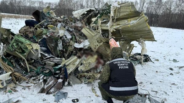 Các nhà điều tra của Ủy ban điều tra làm việc tại hiện trường vụ rơi máy bay Il-76 - Sputnik Việt Nam