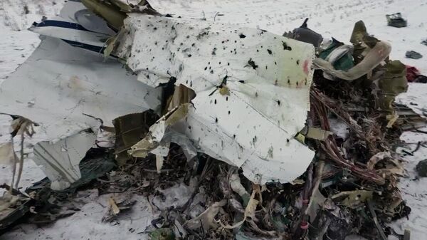 Đống đổ nát của máy bay vận tải quân sự Il-76 ở vùng Belgorod - Sputnik Việt Nam