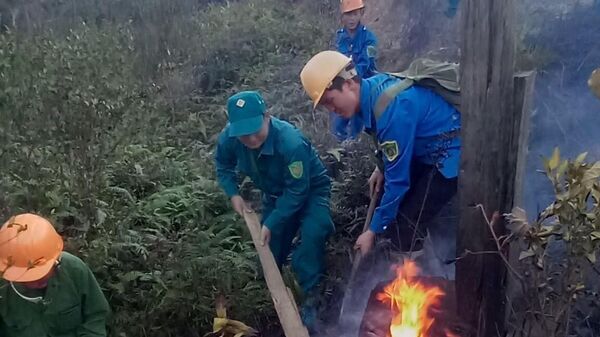Gần 500 người tham gia chữa cháy rừng tại Vườn Quốc gia Hoàng Liên (Sa Pa) - Sputnik Việt Nam
