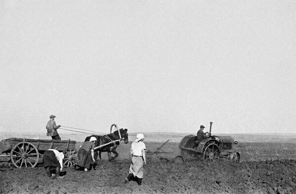 Chuẩn bị gieo hạt tại nông trường nhà nước mang tên M.I. Kalinin, vùng Tambov, 1943 - Sputnik Việt Nam
