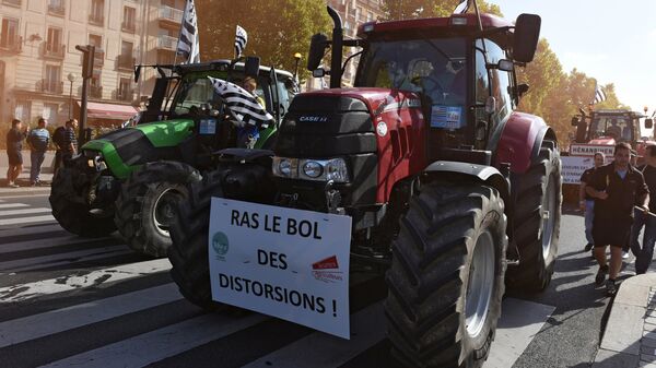 Nông dân Pháp tham gia biểu tình ở Paris - Sputnik Việt Nam
