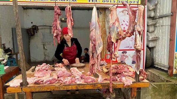 Ki ốt bán thịt bò của bà Trần Thị Bé Hoàng tại chợ Sáng, xã Kỳ Sơn (huyện Tân Kỳ, Nghệ An). Ảnh: Quang Đại - Sputnik Việt Nam
