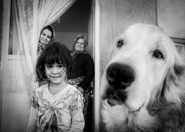 Ảnh “Zeinab and Her Old Dog, Pashmalu” (Zeinab và chú chó già Pashmalu) của nhiếp ảnh gia Iran Seyed Ali Hosseini Far, lọt vào chung kết trong hạng mục Open Natural World &amp; Wildlife (Thế giới tự nhiên và động vật hoang dã mở rộng) tại 2024 Sony World Photography Awards - Sputnik Việt Nam