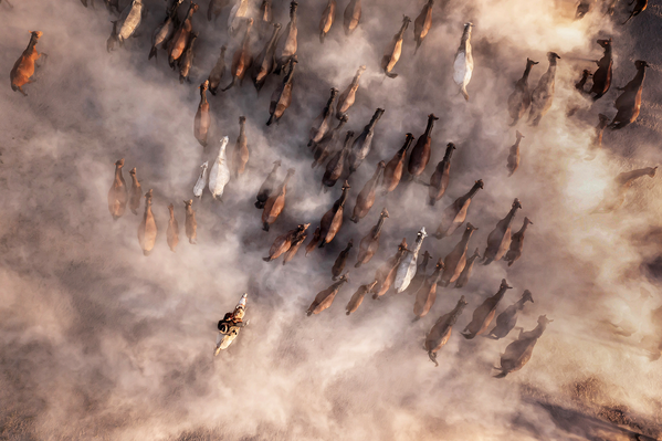 Ảnh Running in Clouds (Chạy trên mây) của nhiếp ảnh gia Thổ Nhĩ Kỳ F.Dilek Yurdakul, lọt vào chung kết trong hạng mục Open Natural World &amp; Wildlife (Thế giới tự nhiên và động vật hoang dã mở rộng) tại 2024 Sony World Photography - Sputnik Việt Nam