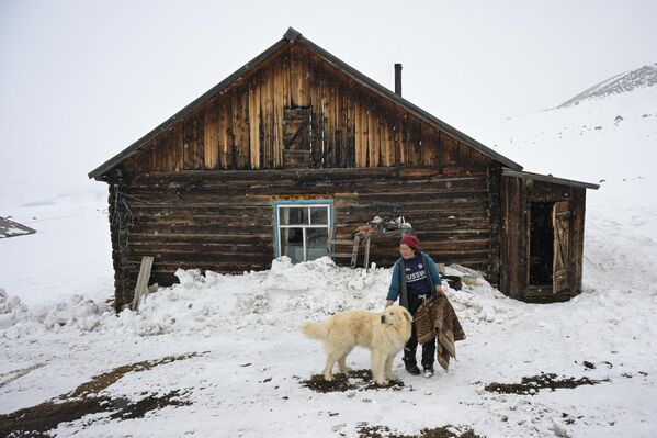 Người phụ nữ dắt con chó trong trang trại chăn nuôi hẻo lánh ở vùngKosh-Agach, Cộng hòa Altai. Các thành viên của ủy ban bầu cử khu vực lái xe quanh các trại chăn nuôi ở vùng sâu vùng xa để người dân bỏ phiếu sớm trong cuộc bầu cử tổng thống Nga - Sputnik Việt Nam
