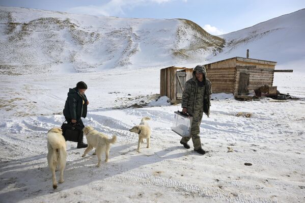 Các thành viên ban bầu cử khu vực tại trại chăn cừu ở vùng núi thuộc quận Kosh-Agach, Cộng hòa Altai - Sputnik Việt Nam