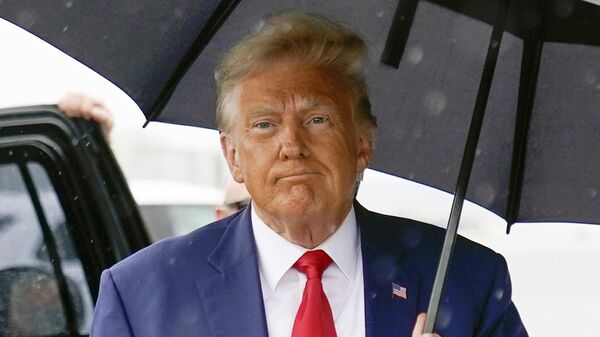 Chính trị gia Mỹ Trump dưới mưa - Sputnik Việt Nam