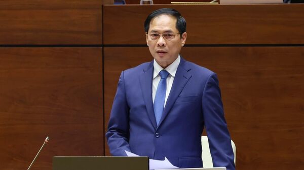 Bộ trưởng Bộ Ngoại giao Bùi Thanh Sơn trả lời chất vấn của đại biểu Quốc hội.  - Sputnik Việt Nam