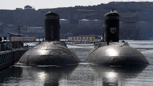 Tàu ngầm diesel-điện Ust-Bolsheretsk và Volkhov tại cảng Vladivostok - Sputnik Việt Nam