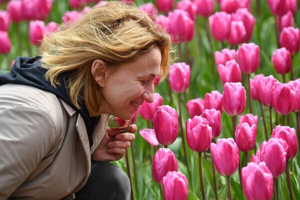 Người phụ nữ trong Vườn Bách thảo Nikitsky ở Yalta, nơi diễn ra Cuộc diễu hành hoa Tulip lần thứ 17 - Sputnik Việt Nam
