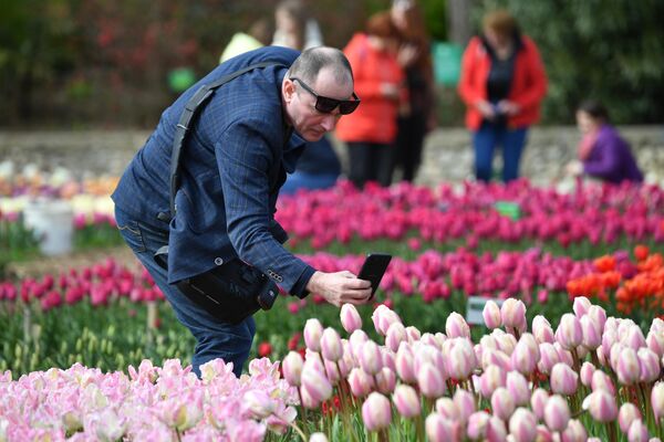 Người đàn ông trong Vườn Bách thảo Nikitsky ở Yalta, nơi diễn ra Cuộc diễu hành hoa Tulip lần thứ 17 - Sputnik Việt Nam