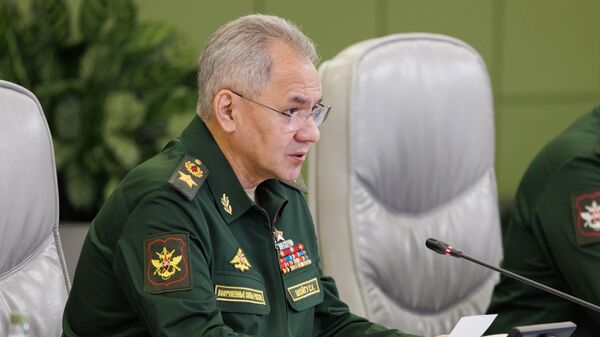 Bộ trưởng Quốc phòng Nga Sergei Shoigu - Sputnik Việt Nam