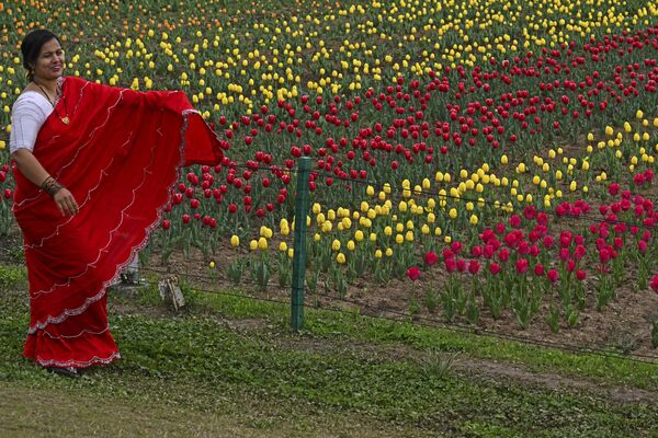 Du khách tại Vườn hoa tulip tưởng niệm Indira Gandhi ở Srinagar - Sputnik Việt Nam