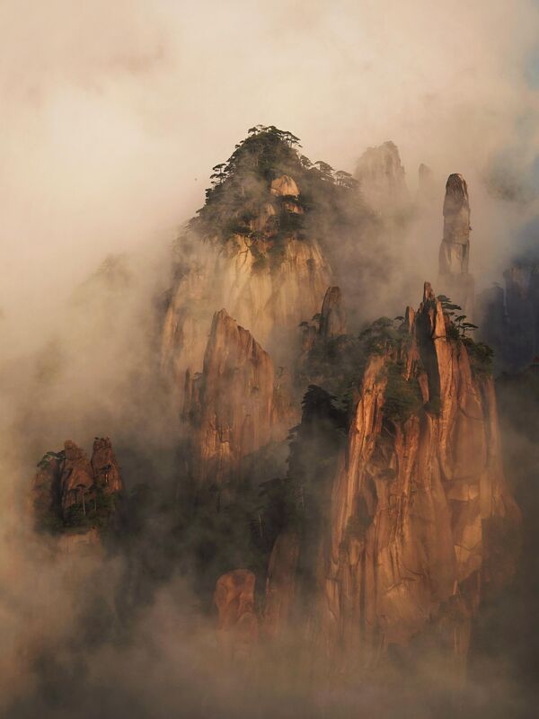 Ảnh Golden Mountains của tác giả Di Lu, giải Nhất hạng mục Landscapes &amp; Wildlife trong cuộc thi 13th MPA Photographer of the year. - Sputnik Việt Nam