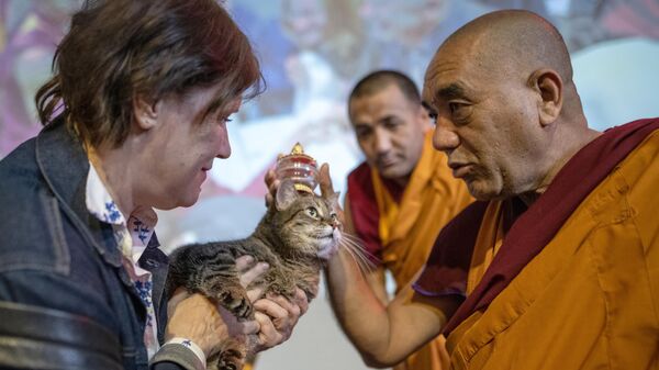 Trưởng đoàn sư Himalaya Geshe Tsewang Dorje ban phước lành cho chú mèo trong buổi lễ ban phúc cho động vật trong khuôn khổ  Lễ hội cầu may mắn của Phật giáo ở  Moskva - Sputnik Việt Nam