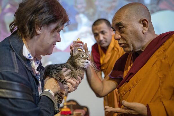 Trưởng đoàn sư Himalaya Geshe Tsewang Dorje ban phước lành cho chú mèo trong buổi lễ ban phúc cho động vật trong khuôn khổ Lễ hội cầu may mắn của Phật giáo ở Moskva - Sputnik Việt Nam