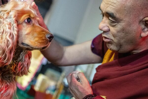 Trưởng đoàn sư Himalaya Geshe Tsewang Dorje ban phước lành cho chú chó trong buổi lễ ban phúc cho động vật trong khuôn khổ Lễ hội cầu may mắn của Phật giáo ở Moskva - Sputnik Việt Nam