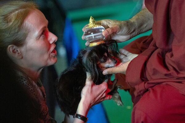 Ban phước cho chú chó trong lễ cầu phúc cho động vật trong khuôn khổ Lễ hội cầu may mắn của Phật giáo ở Moskva - Sputnik Việt Nam