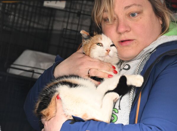 Người phụ nữ và con mèo tại trạm trú ẩn ở Orenburg, được tổ chức bởi các tình nguyện viên từ tổ chức &quot;Nhà cho mèo&quot; ở Donetsk - Sputnik Việt Nam