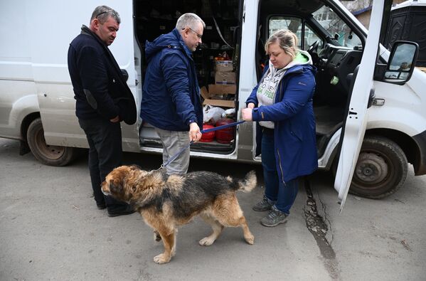 Tình nguyện viên từ tổ chức &quot;Nhà cho mèo&quot; ở Donetsk giúp đỡ về nhà ở, tìm kiếm, cứu hộ động vật được tìm thấy trong lũ lụt - Sputnik Việt Nam