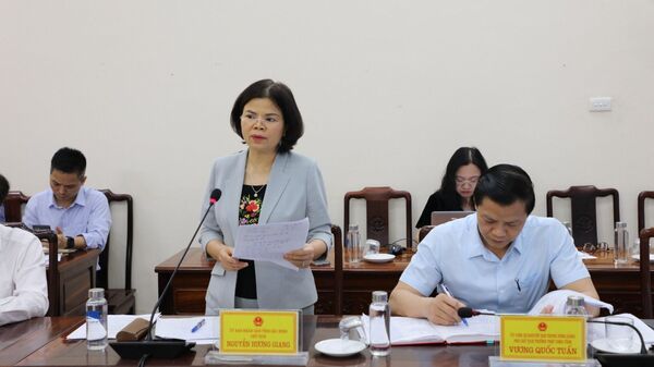 Chủ tịch UBND tỉnh Bắc Ninh Nguyễn Hương Giang phát biểu tại cuộc họp.  - Sputnik Việt Nam