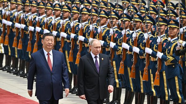 Tổng thống Nga Vladimir Putin tại cuộc gặp với Chủ tịch Trung Quốc Tập Cận Bình  - Sputnik Việt Nam