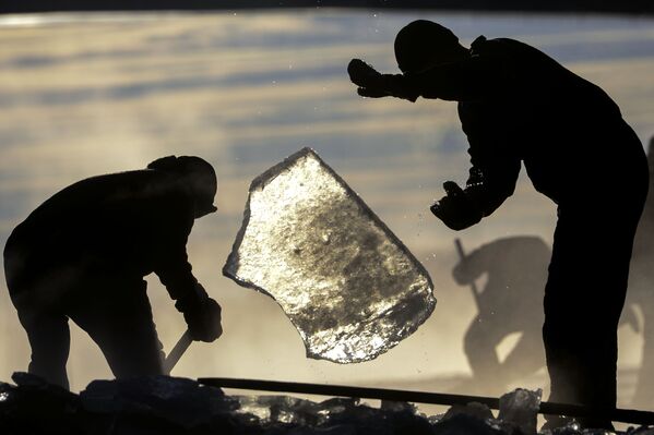 Thành viên câu lạc bộ “Những con hải mã Novgorod” đào hố trên mặt băng sông Volkhov để chuẩn bị bơi mùa đông. - Sputnik Việt Nam
