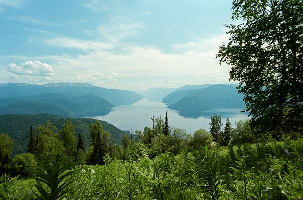 Hồ Teletskoye ở Vườn bảo tồn quốc gia Altai - Sputnik Việt Nam
