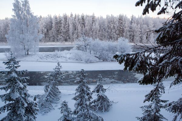 Sông Shuya ở Karelia vào mùa đông - Sputnik Việt Nam