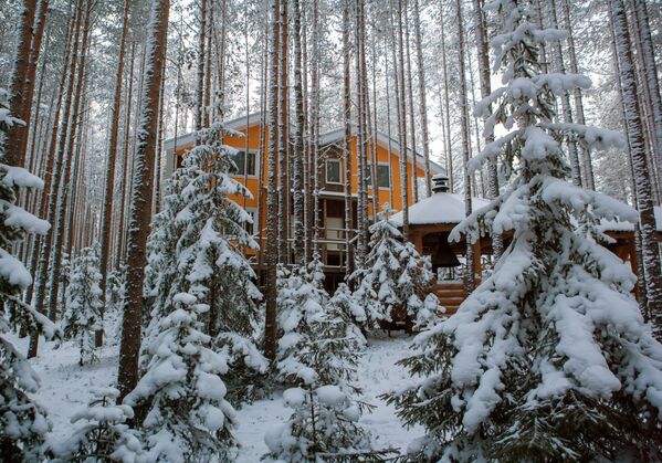 Nhà khách trong rừng trên địa phận khu phức hợp du lịch Karjala Park ở Karelia - Sputnik Việt Nam