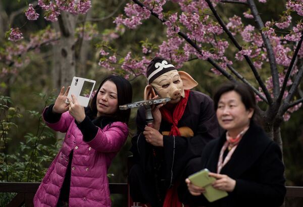 Chụp ảnh selfi trên nền hoa anh đào nở ở Thượng Hải. - Sputnik Việt Nam