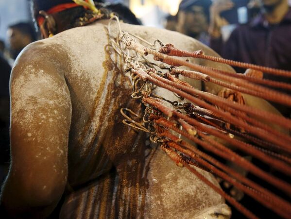 Người đàn ông với những móc sắt trên lưng trong lễ hội Thaipusam ở Malaysia - Sputnik Việt Nam