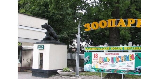 Vườn thú Kaliningrad - Sputnik Việt Nam