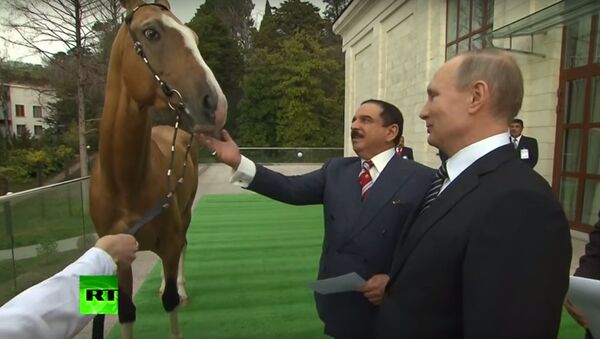 Ông Vladimir Putin tặng ngựa đua cho Quốc vương Bahrain - Sputnik Việt Nam