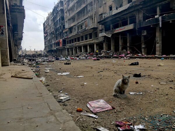 Thành phố Aleppo, Syria - Sputnik Việt Nam