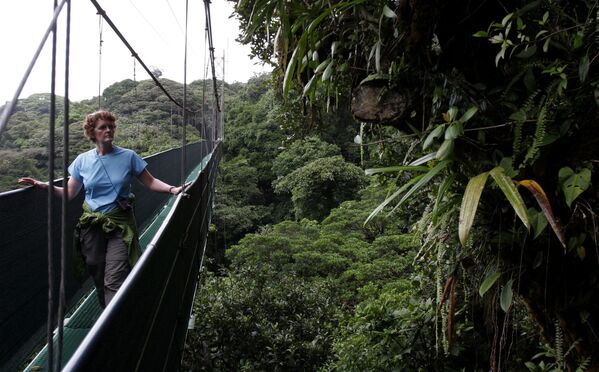 Rừng Bảo tồn  Monteverde Cloud ở Costa Rica - Sputnik Việt Nam