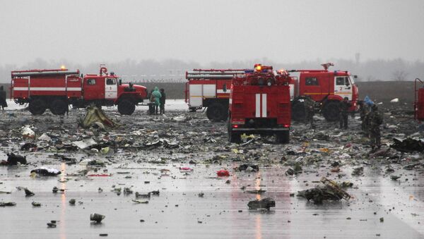 Chiếc máy bay chở khách Boeing 737-800 đã bị rơi tại sân bay Rostov-na-Donu - Sputnik Việt Nam