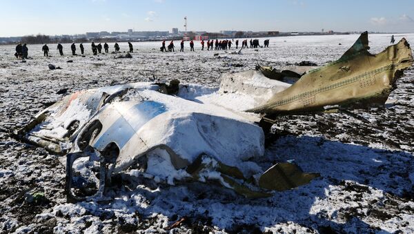 Hiện trường vụ tai nạn máy bay chở khách Boeing-737-800 tại sân bay Rostov-na-Donu - Sputnik Việt Nam