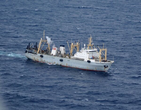 Hoạt động  tìm kiếm và cứu hộ tại biển Okhotsk để tìm tàu đánh cá Viễn Đông - Sputnik Việt Nam