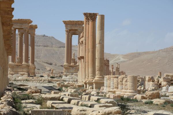 Phần lịch sử của Palmyra sau khi thành phố được giải phóng khỏi bọn khủng bố - Sputnik Việt Nam