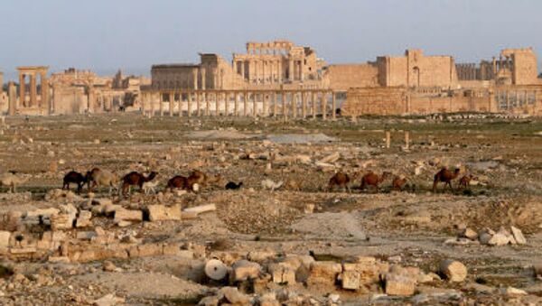 Древний оазис города Пальмира в Сирии - Sputnik Việt Nam