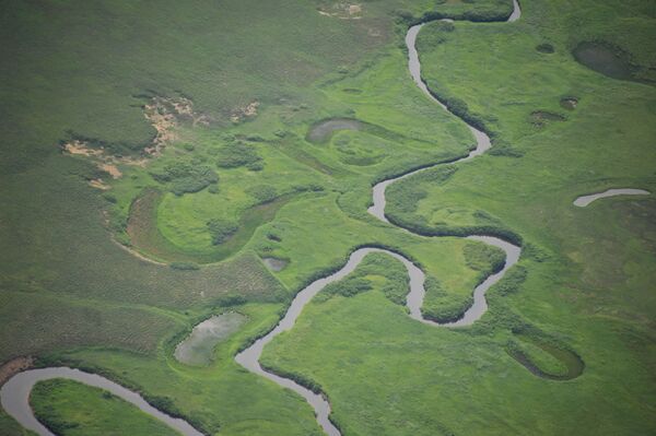 Phong cảnh một trong những con sông trong Khu bảo tồn Kronotsky ở Kamchatka - Sputnik Việt Nam