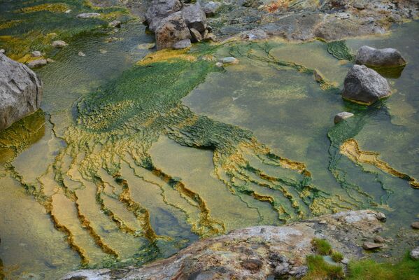 Dòng nước Velikan tại Thung lũng Geysers trong Khu bảo tồn Kronotsky ở Kamchatka - Sputnik Việt Nam
