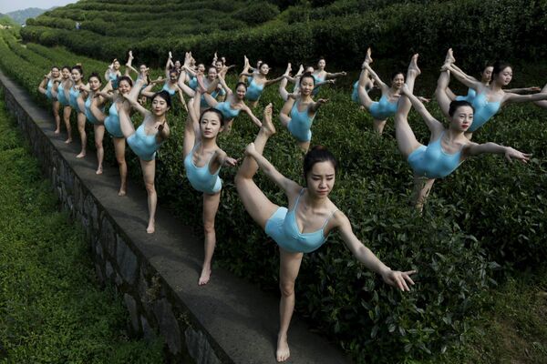 Các thiếu nữ tập yoga ở Trung Quốc - Sputnik Việt Nam