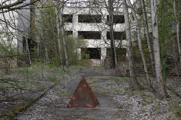Trong khu vực bỏ hoang sau vụ tai nạn nhà máy điện hạt nhân Chernobyl - Sputnik Việt Nam