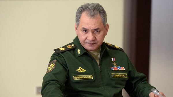 Bộ trưởng Quốc phòng Nga Tướng Sergei Shoigu - Sputnik Việt Nam